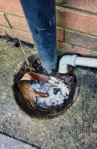https://plumberpeppermintgrove.com.au/uploads/2025/06/blocked-drains-294506.jpg