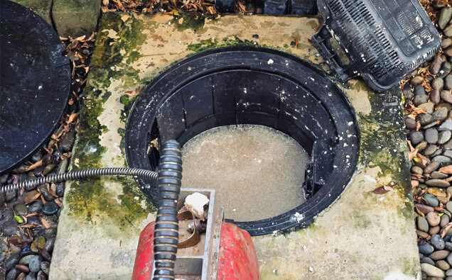 https://plumberpeppermintgrove.com.au/uploads/2025/06/blocked-drains-820453.jpg